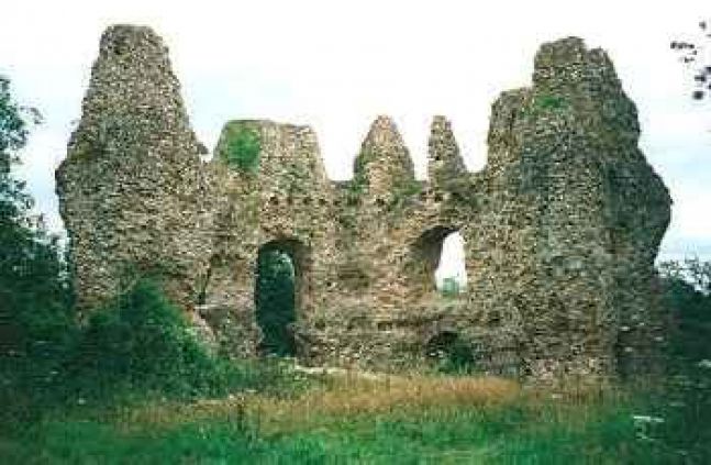 Odiham Castle